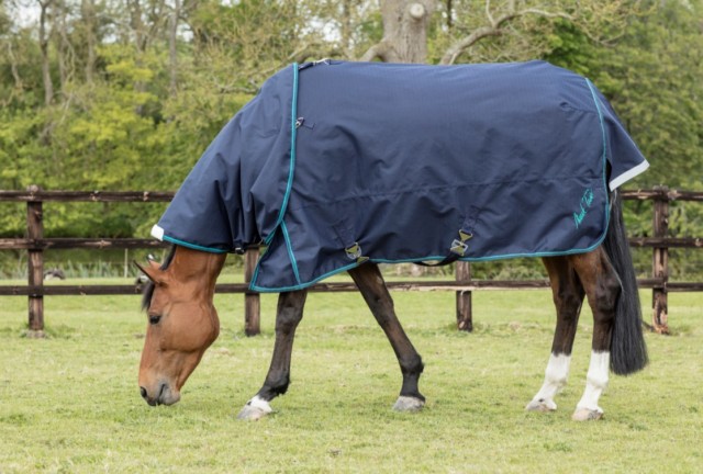 Mark Todd Heavyweight Turnout Rug with Detachable Neck (Navy & Jade)