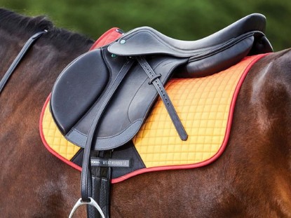 GP Numnahs & Saddlepads