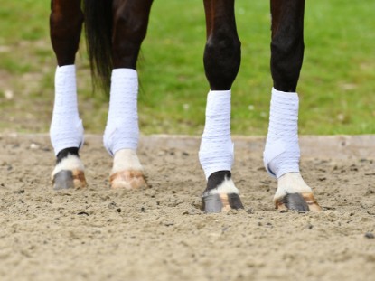 Dressage Wraps & Boots