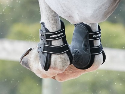 Fetlock Boots