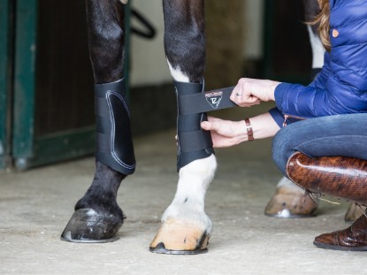 Exercise & Brushing Boots