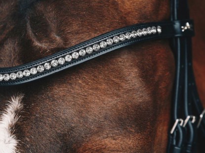 Browbands