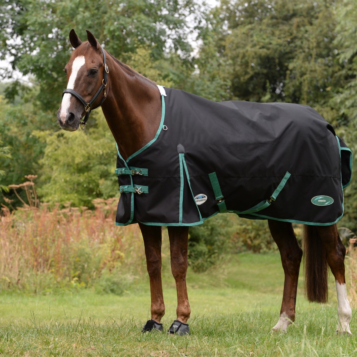 Weatherbeeta GreenTec 900D Turnout Standard Neck 50g Lite Plus (Black