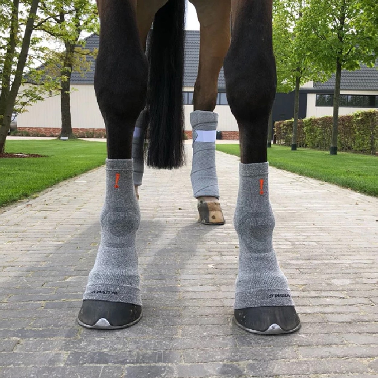 Incrediwear Equine Circulation Hoof Socks Cool Equestrian