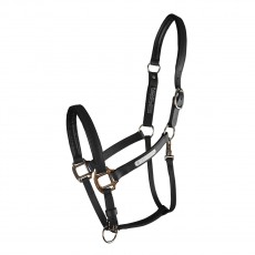 Equilibrium Stellar Headcollar (Black)