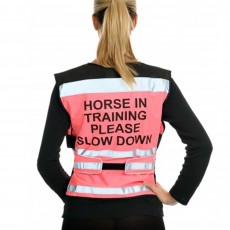 Equisafety Air Waistcoat - Horse in Training Please Slow Down (Pink)