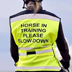 Equisafety Air Waistcoat - Horse in Training Please Slow Down (Yellow)