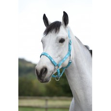 Saxon Dove Headcollar (Teal/White)