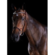 Collegiate Comfitec Patent Bridle (Brown)