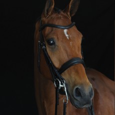 Collegiate Mono Crown Padded Raised Weymouth Bridle (Black) Collegiate Mono Crown Padded Raised Weymouth Bridle (Black)