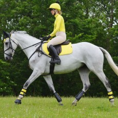 Woof Wear Close Contact Saddle Cloth (Sunshine Yellow)