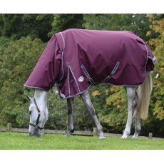 Weatherbeeta ComfiTec Plus Dynamic II Turnout Detach Neck 220g Medium (Maroon)