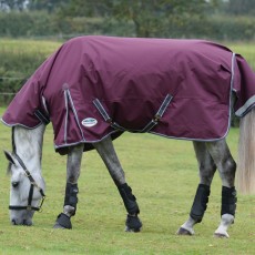 Weatherbeeta ComfiTec Plus Dynamic II Turnout Combo 100g Med/Lite (Maroon)