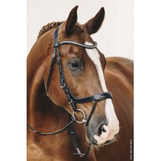 Schockemohle Equitus Omega Anatomic Bridle