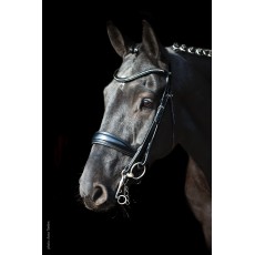 Schockemohle Milan Double Bridle