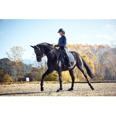 Catago Hybrid Dressage Saddlepad (Midnight Navy)