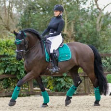 Woof Wear Vision Dressage Saddle Cloth (British Racing Green)