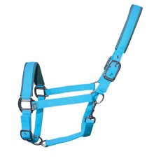 Woof Wear Contour Head Collar (Turquoise)