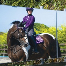 Woof Wear Ladies Performance Riding Shirt (Damson)