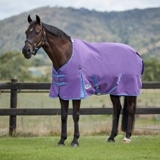 Weatherbeeta Comfitec Essential Turnout Standard Neck 0g Lite (Violet/Blue)