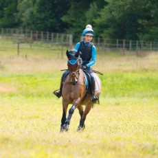 Woof Wear Young Rider Short Sleeve Shirt (Turquoise)