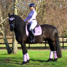 Woof Wear Vision Dressage Saddle Cloth (Lilac)