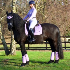 Woof Wear Vision Fly Veil (Lilac)