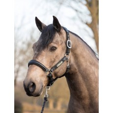 LeMieux Capella Headcollar (Black)