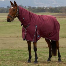 Weatherbeeta ComFiTec Prelim Turnout Combo Neck 0g (Burgundy/Navy) Weatherbeeta ComFiTec Prelim Turnout Combo Neck 0g (Burgundy/Navy)