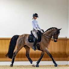 Woof Wear Elite Comfort Plus Dressage Saddlepad (Black)