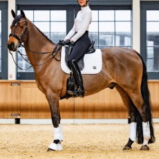 Woof Wear Elite Comfort Mesh Dressage Saddlepad (White)