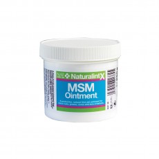 NAF NaturalintX MSM Ointment