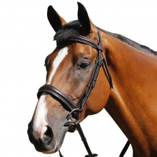 Mark Todd Padded Cavesson Bridle (Brown)