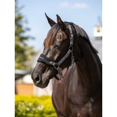 LeMieux Vogue Fleece Headcollar & Leadrope (Black/Grey)