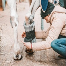 Incrediwear Equine Circulation Standing Wraps (Grey)