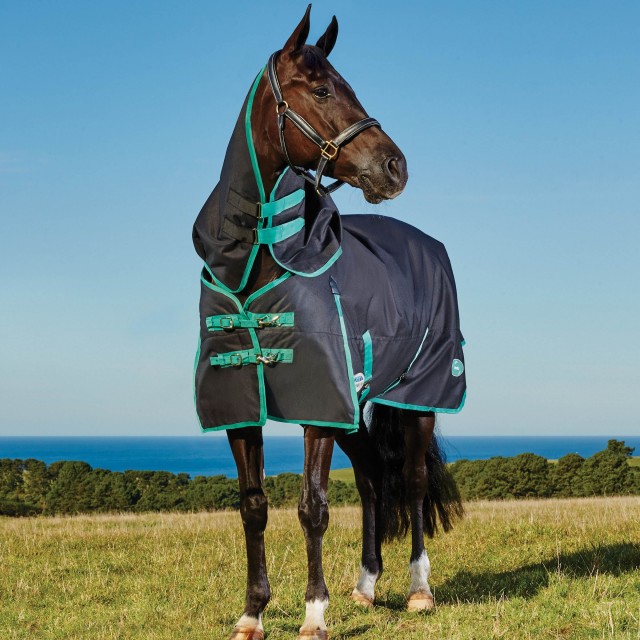 Weatherbeeta Green-Tec 900D Turnout Rug Detach-A-Neck 360g Heavyweight (Black/Bottle Green)