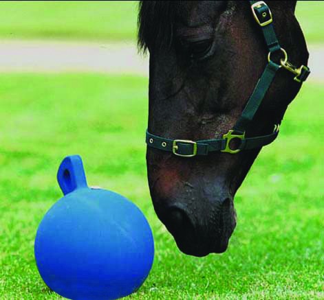 Roma Equine Play Ball (Blue)