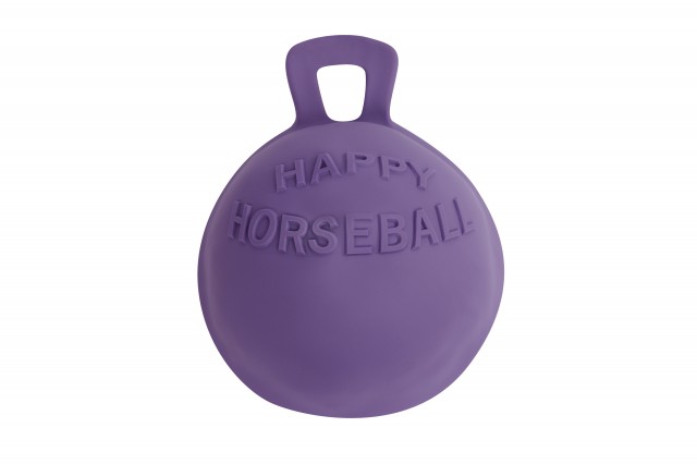 Roma Equine Play Ball (Purple)