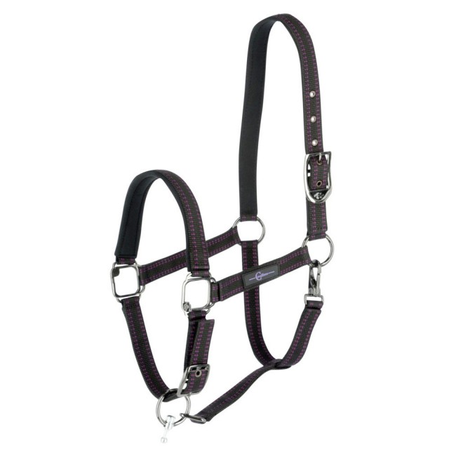 GoLeyGo Headcollar (Black/Purple)