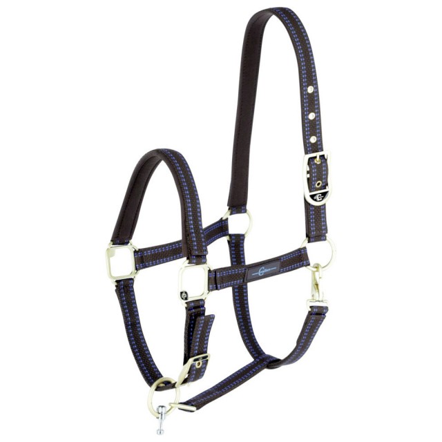 GoLeyGo Headcollar (Brown/Blue)