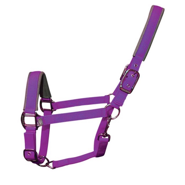 Woof Wear Contour Head Collar (Ultra Violet)