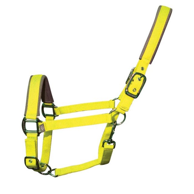 Woof Wear Contour Head Collar (Yellow)