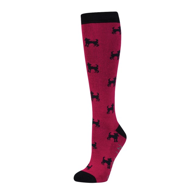 Dublin Single Pack Socks (Red Dog)