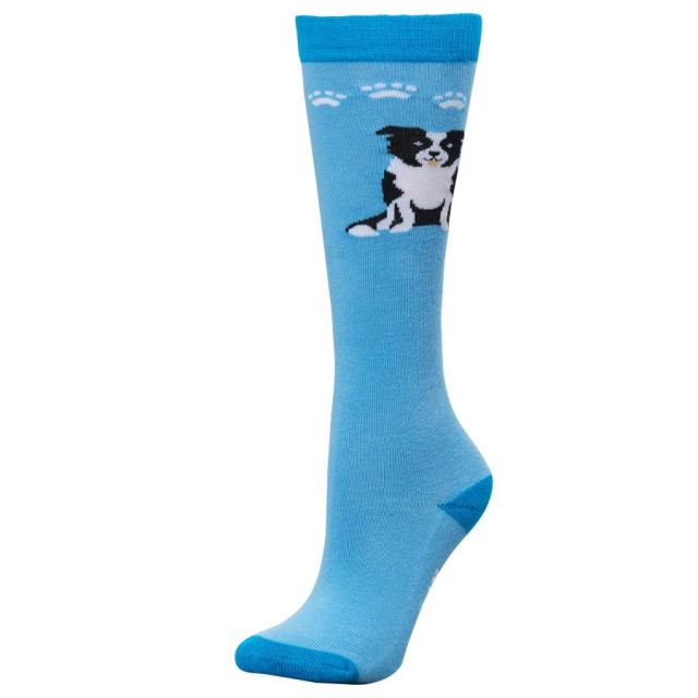 Dublin Adults Single Pack Socks (Blue Boarder Collie)