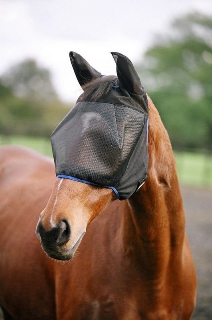 Equilibrium Field Relief Midi Fly Mask With Ears (Black/Blue)