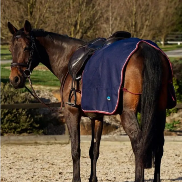 Weatherbeeta Essential Fleece Lined Quarter Sheet (Navy/Burgundy)