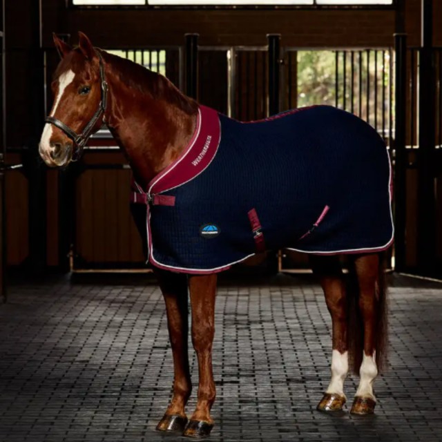 Weatherbeeta Thermocell Cooler Standard Neck (Navy/Burgundy)