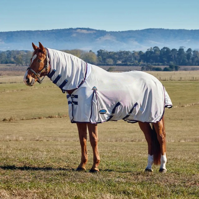 Weatherbeeta ComFiTec Airflow Fly Sheet Combo Neck (Grey/Navy/Burgundy)