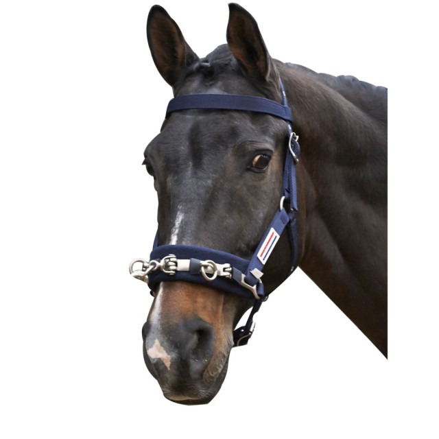 Whitaker Lunge Cavesson (Navy)