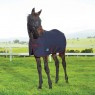 Weatherbeeta 1200D Foal Turnout Standard Neck 220G (Navy/Burgundy)